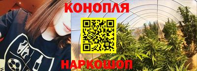 хмурый Сланцы