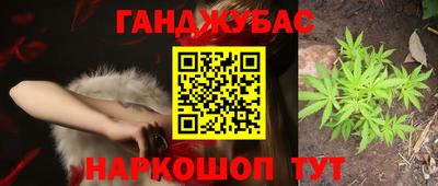 хмурый Сланцы