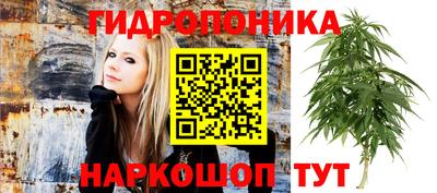 соль курить ск Славгород