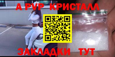 хмурый Сланцы