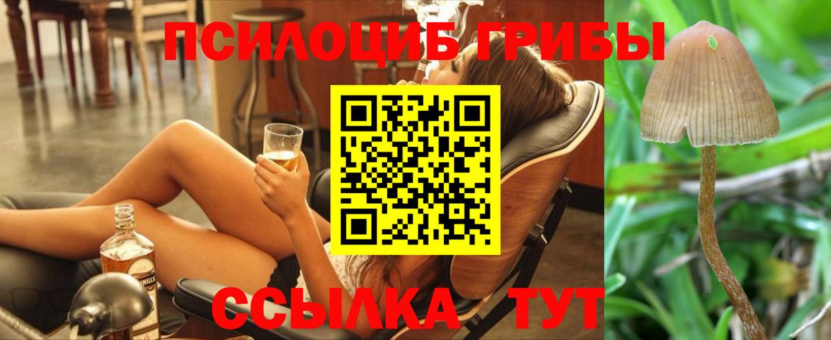 Новосибирск  Галлюциногенные грибы MAGIC MUSHROOMS  Вход с VPN 